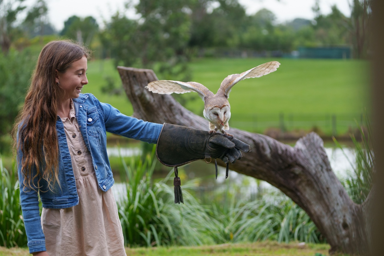 An image of a girl holding an owl on her arm at Lone Pine Koala Sanctuary.