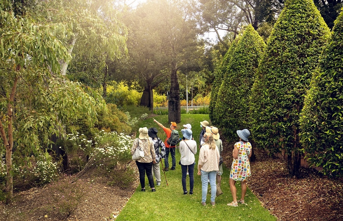 Roma Street Parkland Guided Tour Group