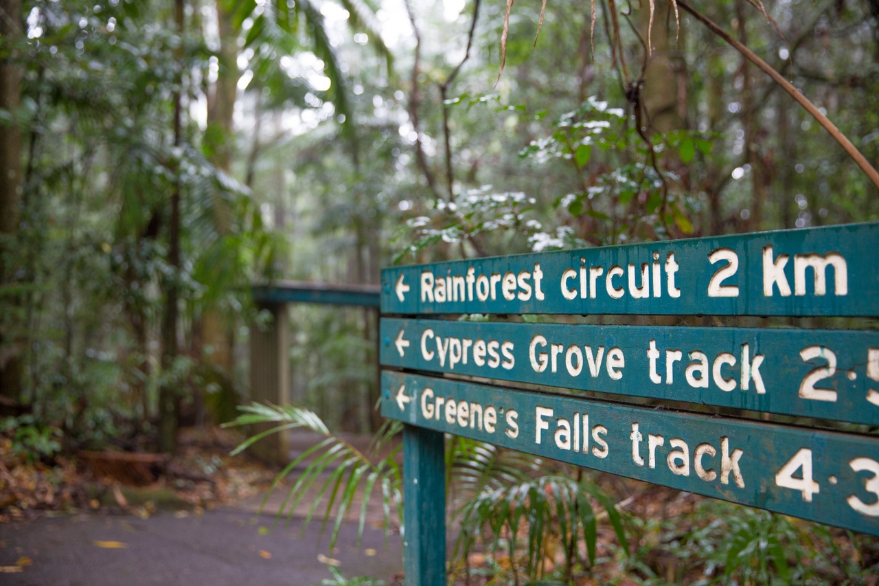 An image of signage at Mt Glorious Rainforest Circuit Cypress Grove Track.