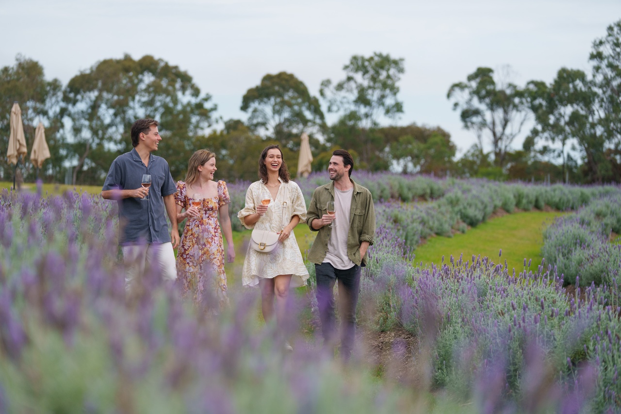 An image of four people walking through a lavender field