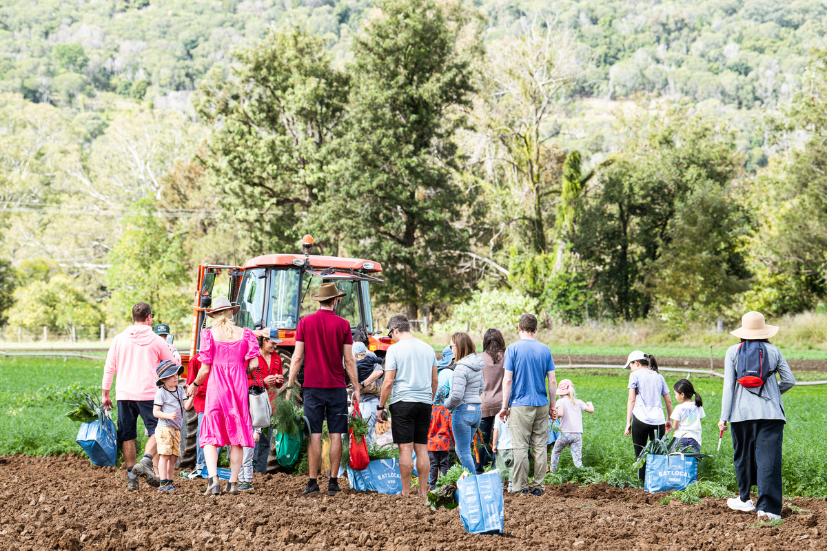 Families gathering produce at the Scenic Rim.