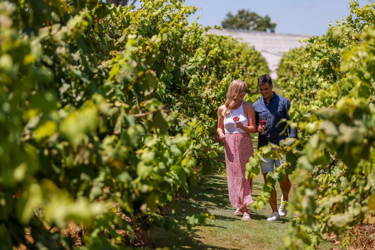 A couple walking through the vineyard at Overflow Estate.