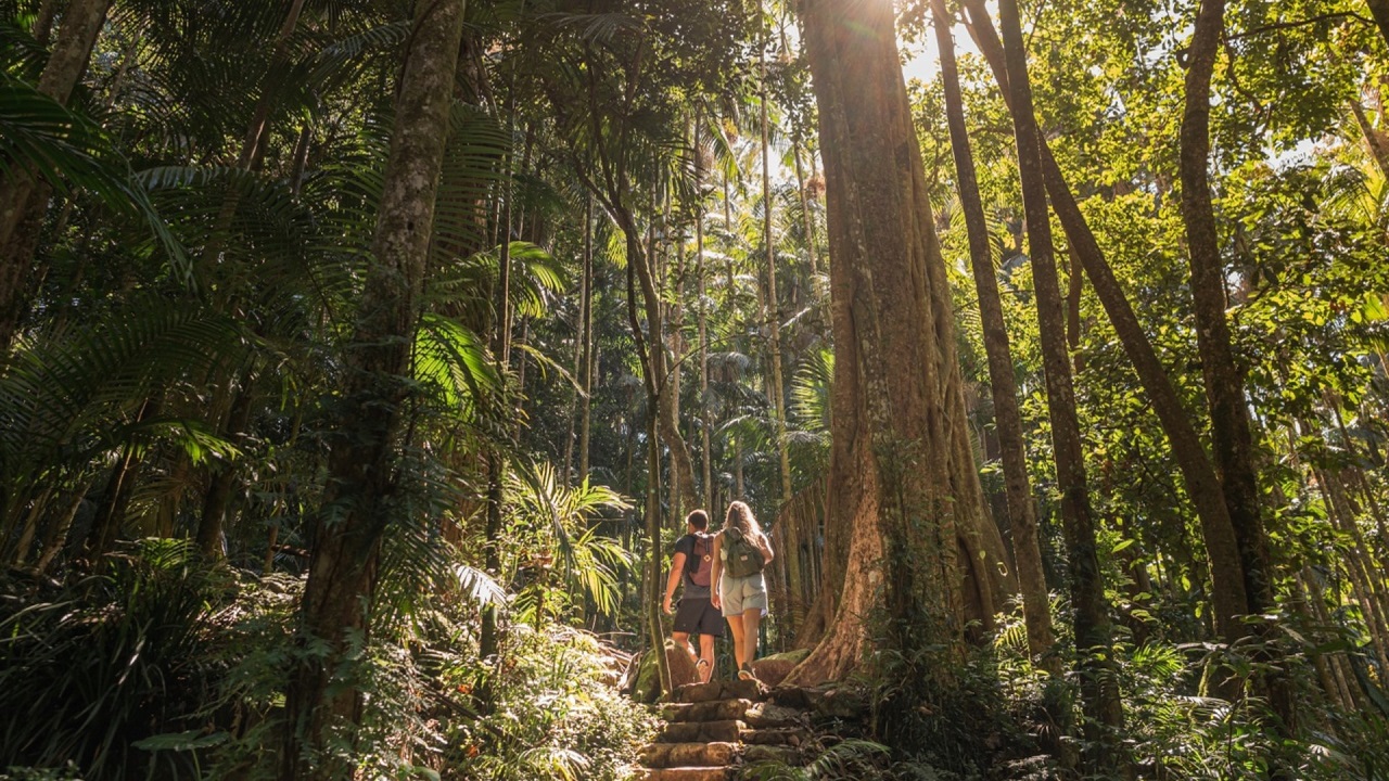 Couple on a hike to Curtis Falls in Mt Tamborine