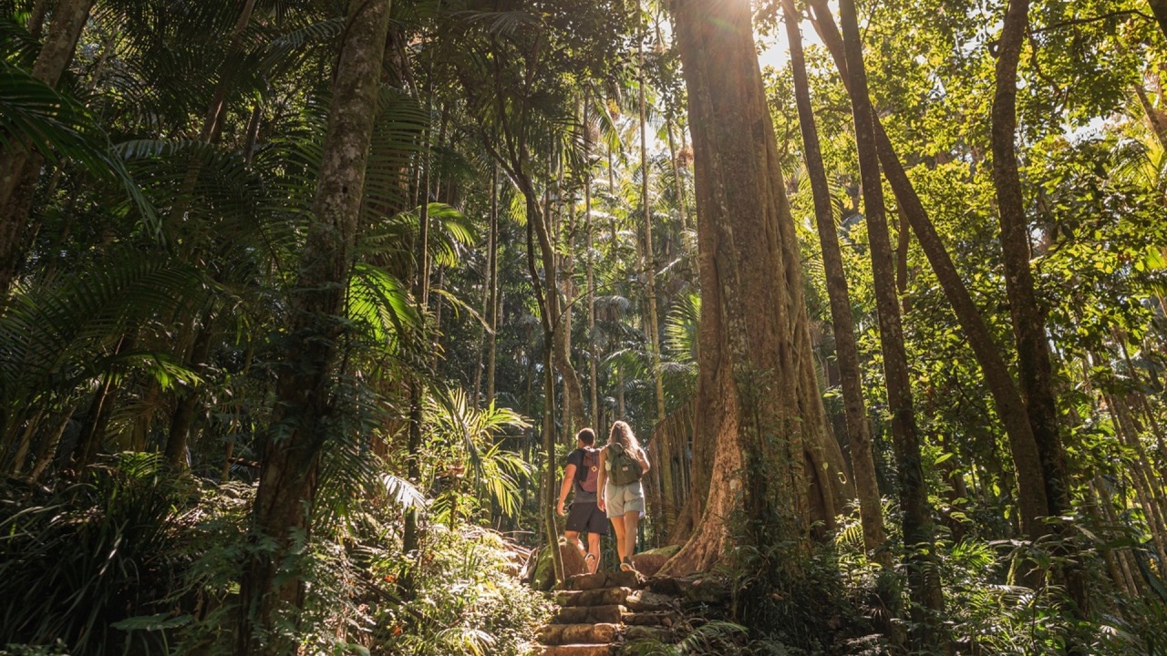 Scenic Rim Slashing Nature, culture and culinary delights galore – the Scenic Rim has ...