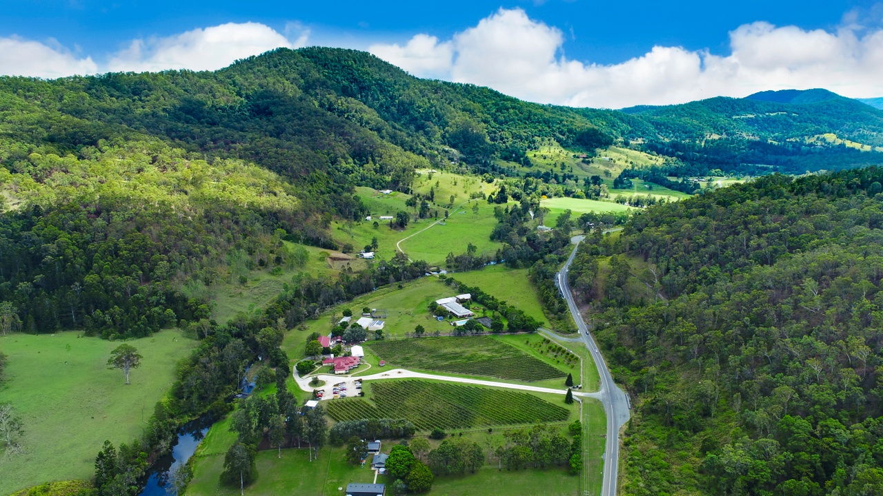 Aerial shot of retreat with O’Reilly’s Canungra Valley Vineyards. 