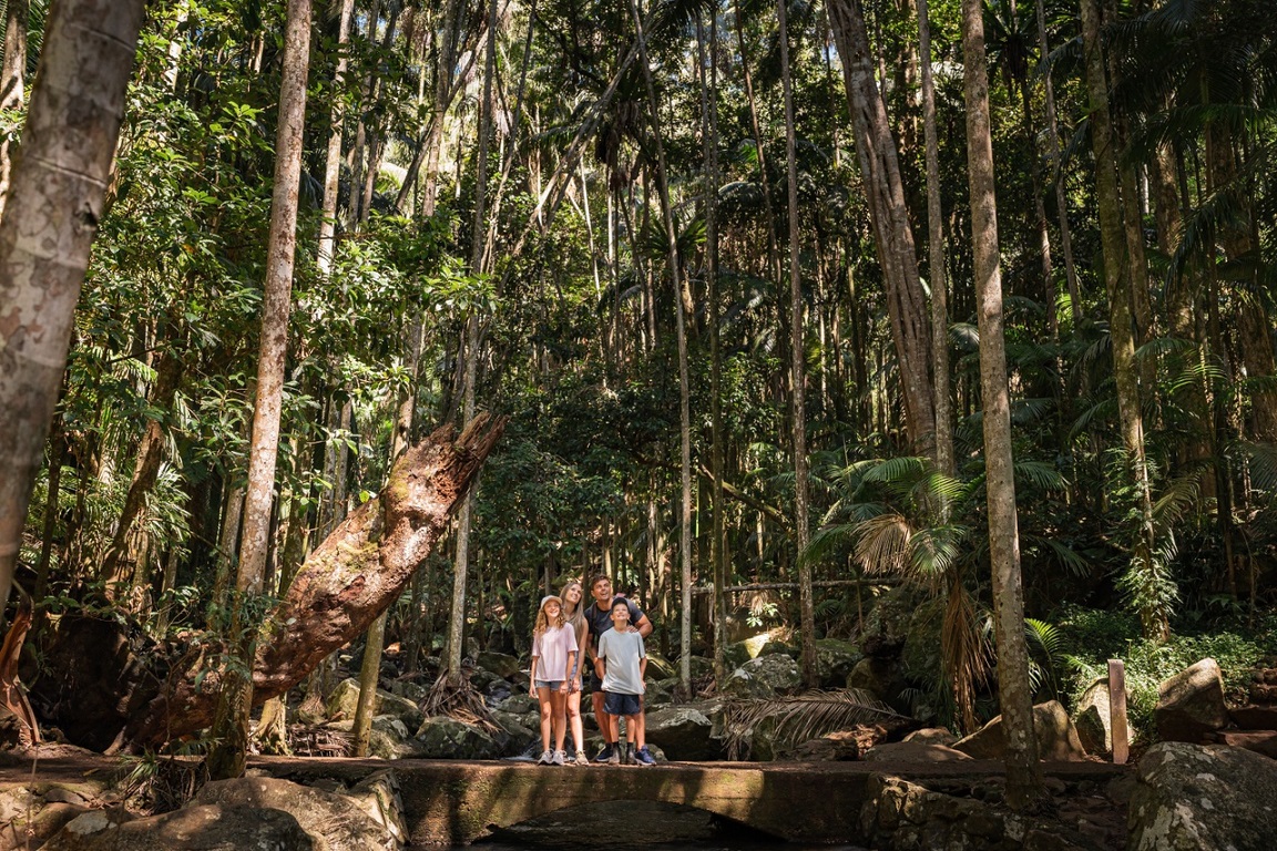 An image of a family standing on a ledge in a rainforest, surrounded by large rocks and trees.
