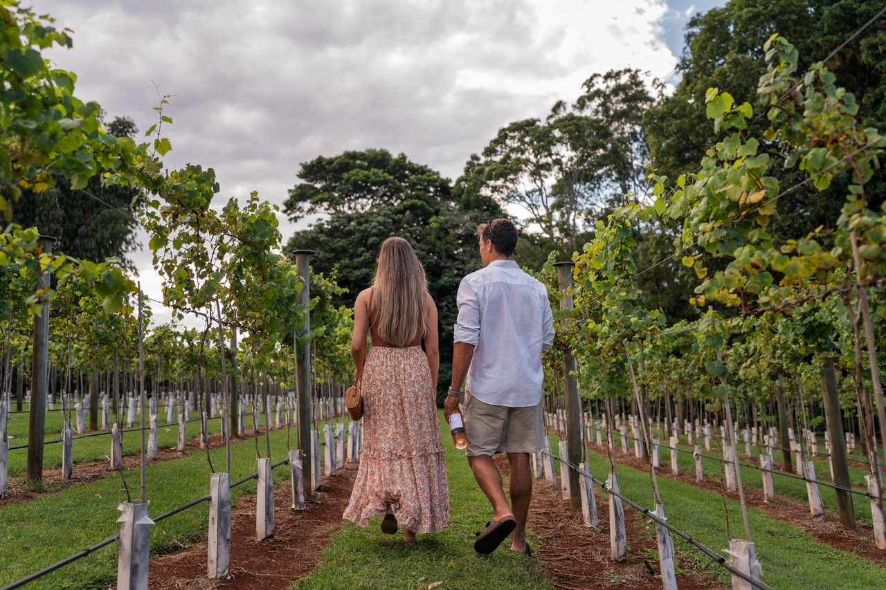 An image of a couple walking through a vineyard, walking away from the camera.