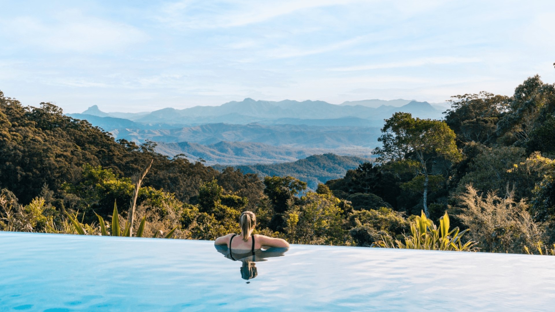 Woman swimming in the infinity pool at O'Reilly's Rainforest Retreat. 