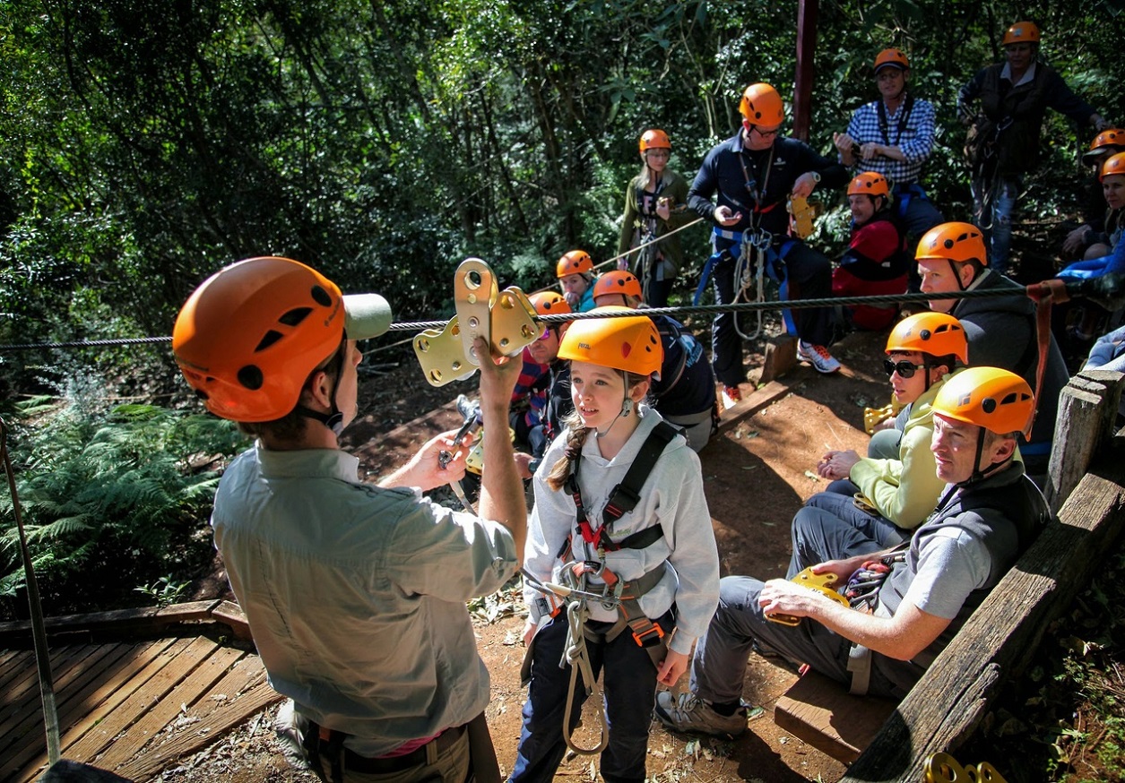 Group of people wearing helmets for zip lining, O'Reilly's Rainforest Retreat.